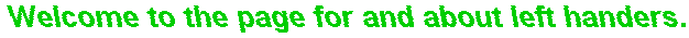 Lefties Homepage Logo
